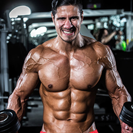 Muscle Gain Fitness